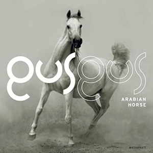 Arabian Horse 300