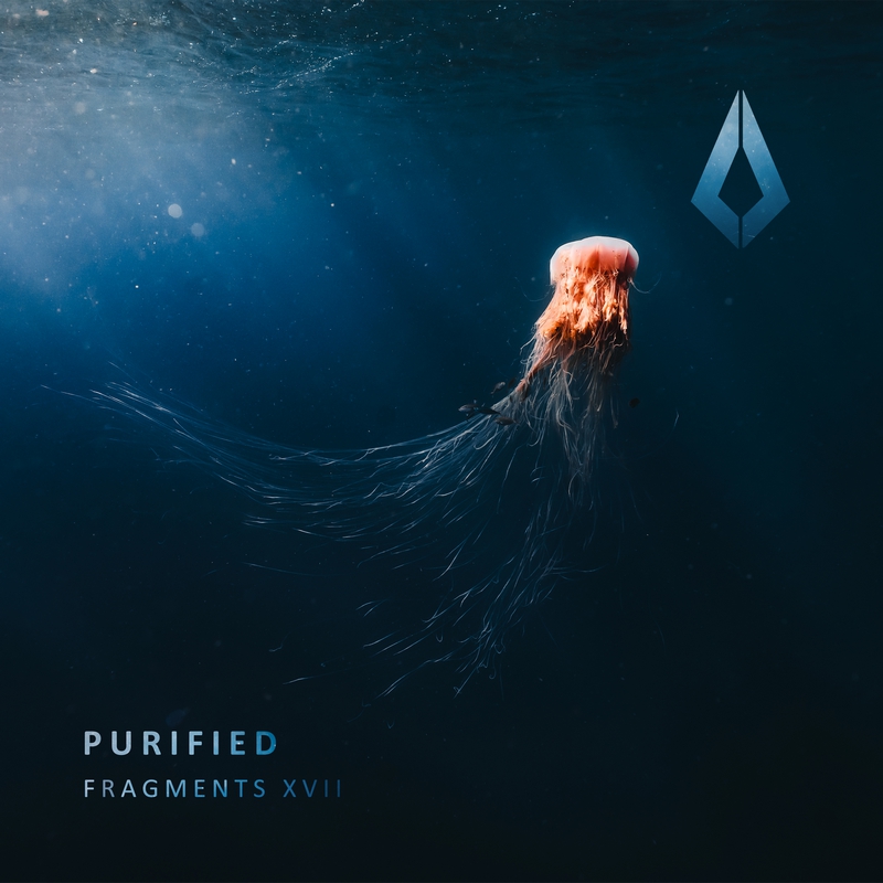 Purified Fragments XVII