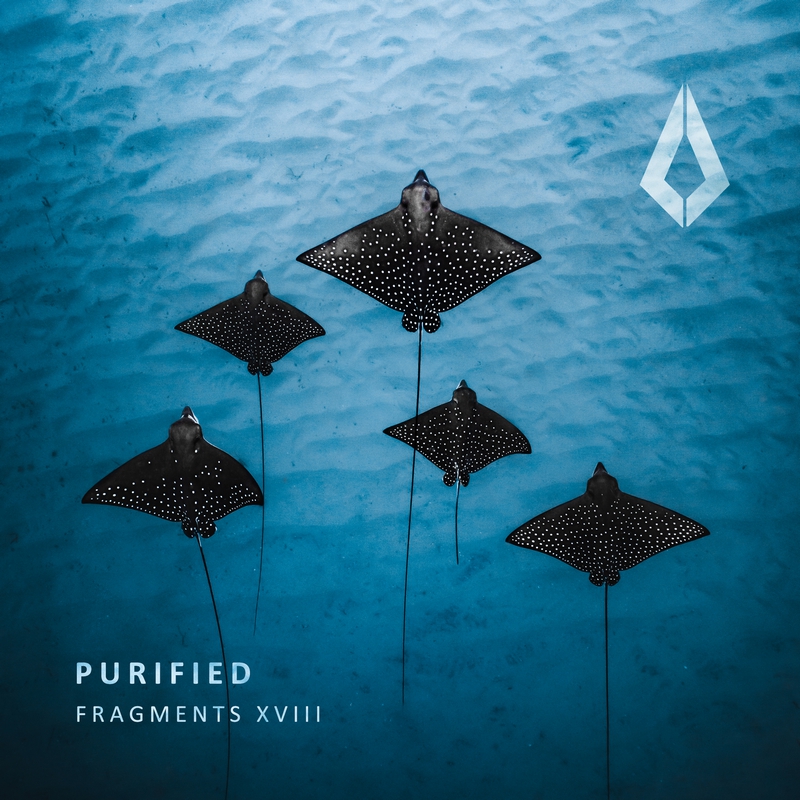 Purified Fragments XVIII